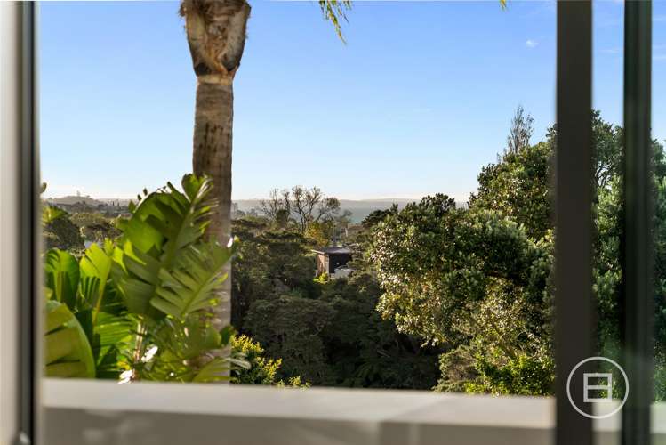 35A Lammermoor Drive St Heliers_23