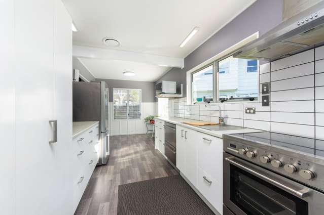 15 Pitcher Place Glen Eden_2