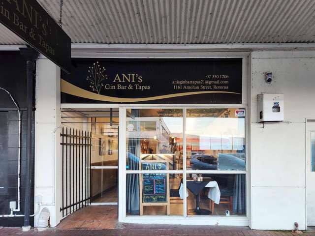 1161 Amohau Street Rotorua_3