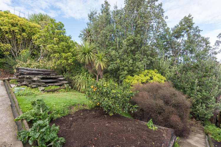 83 Campbell Street Nelson South_14