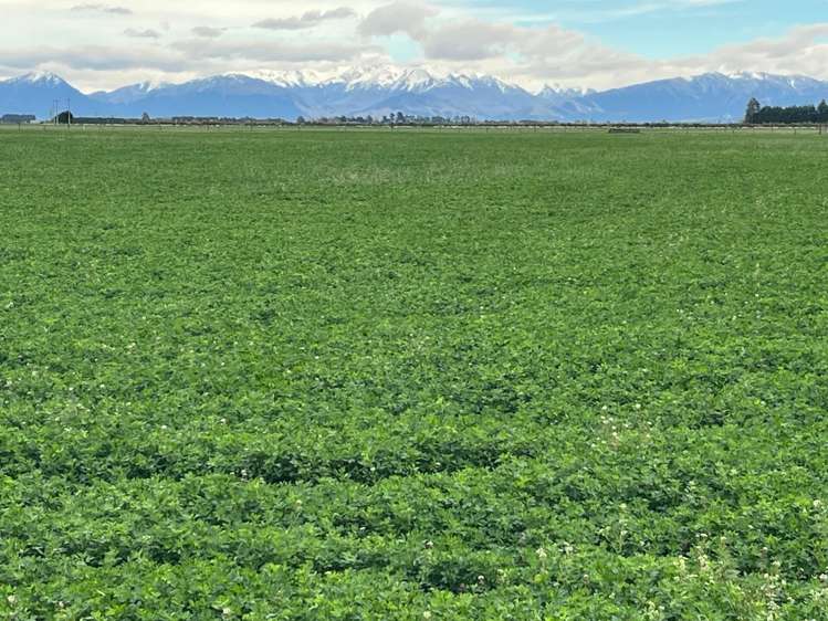 102 Coplands Road Ashburton_3