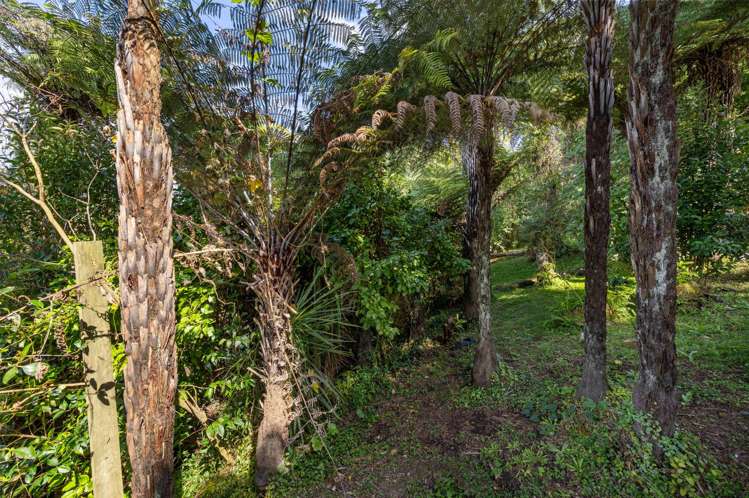 3 Cambrae Road Raglan_27