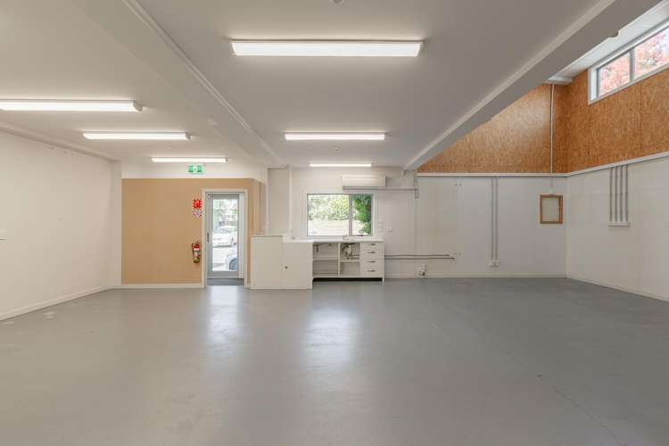 14 Auckland Street Mayfield_5