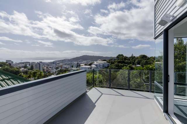 9 Durham Crescent Aro Valley_3