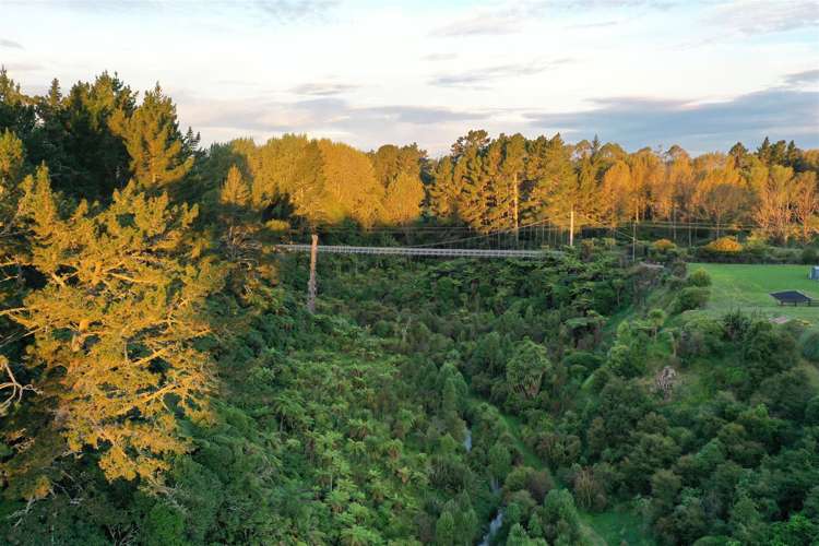 166 Woodcock Road Tamahere_33