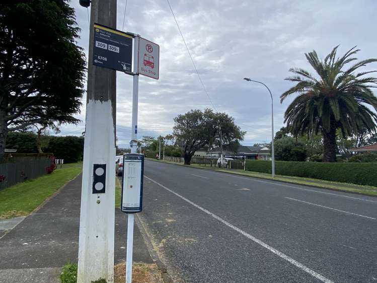 2/44 Muir Ave Mangere Bridge_7