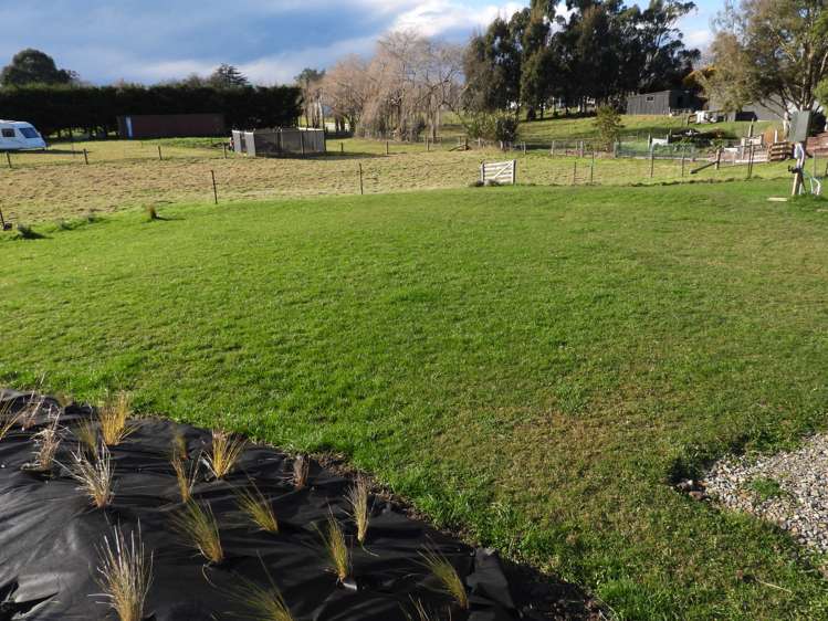 17 Pembroke Street Avondale_5