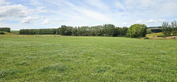 391A Otama Road Otama_19