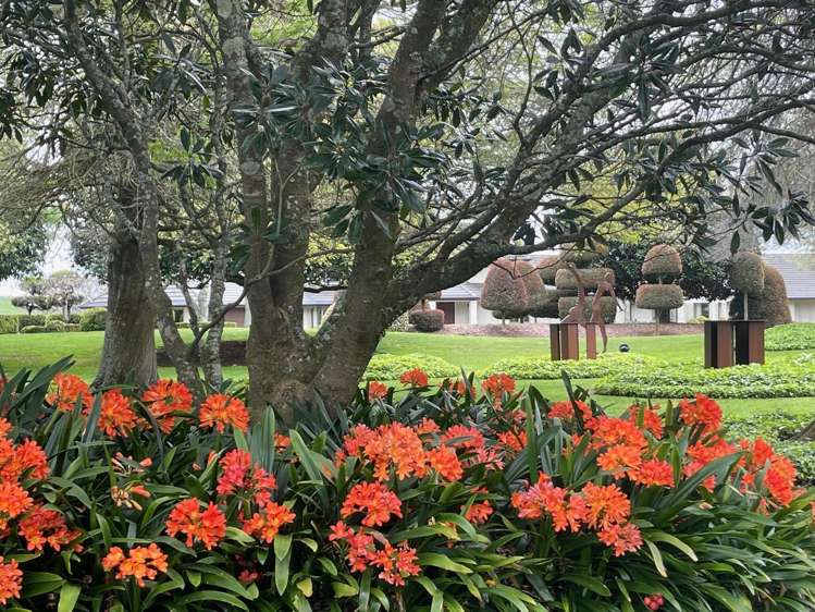 45D Arana Drive Karaka_17