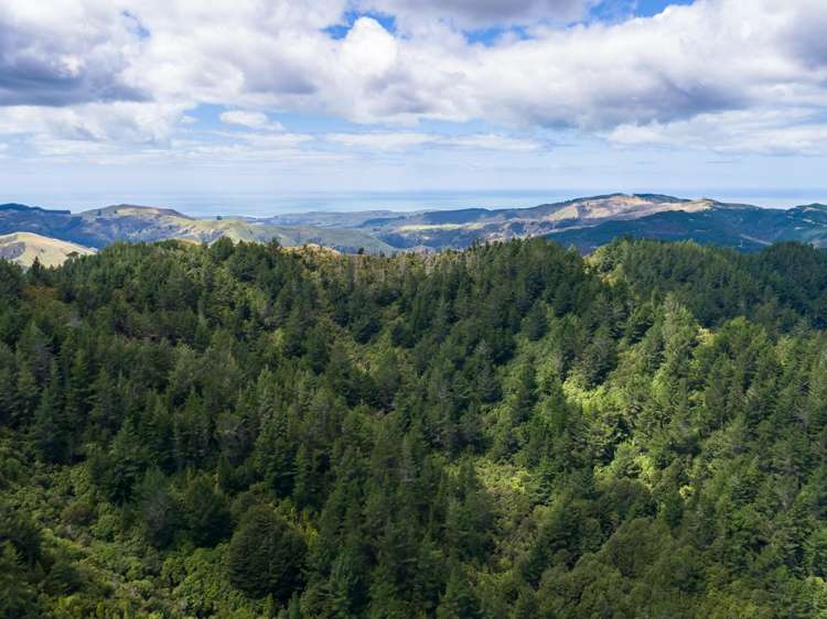 939 Kaiwhata Road Te Wharau_21