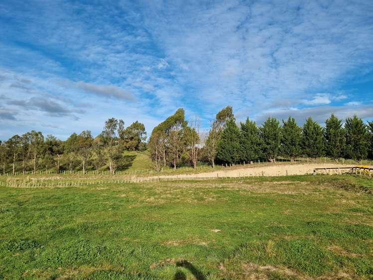 281 Elsthorpe Road Otane_2