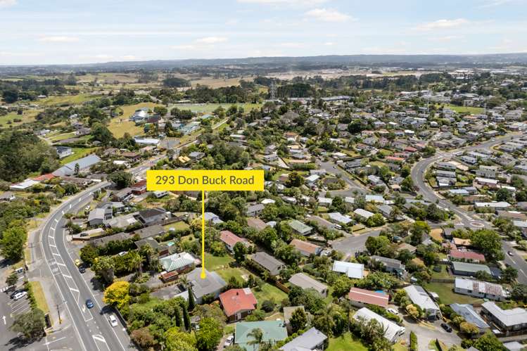 293 Don Buck Road Massey_28