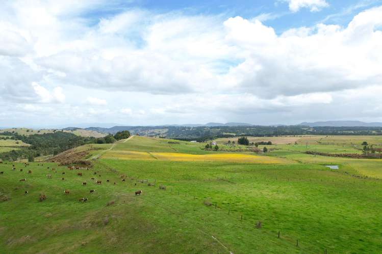 194 Toia Road Okaihau_12