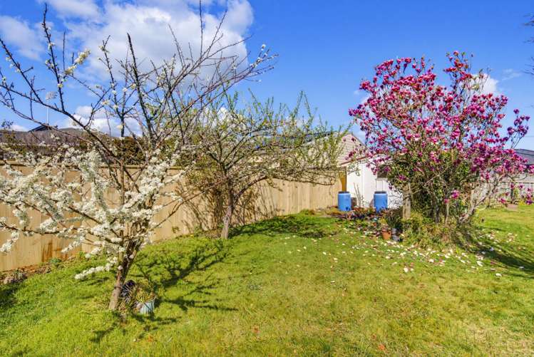 6A Trafalgar Street Levin_12