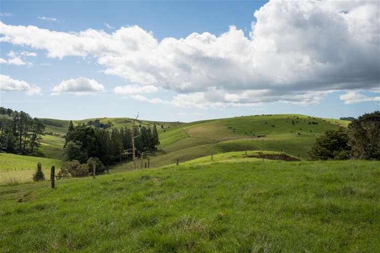 67 Fraser Road Kawakawa_10