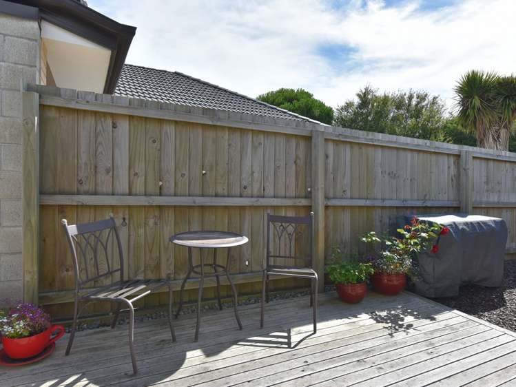 15 Millar Street Sydenham_17