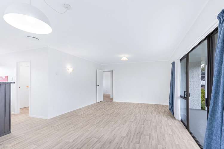 11c Snell Street Morrinsville_13