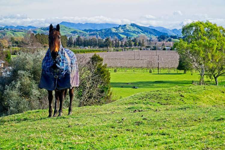 Ormond Valley Road Ormond_20