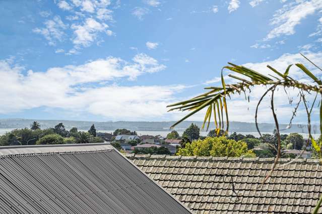 16 Powell Street Avondale_3