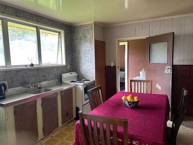 359 River Road Kawerau_2