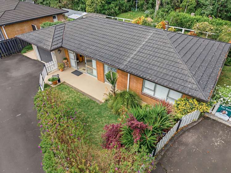 279a Maungatapu Road Maungatapu_6