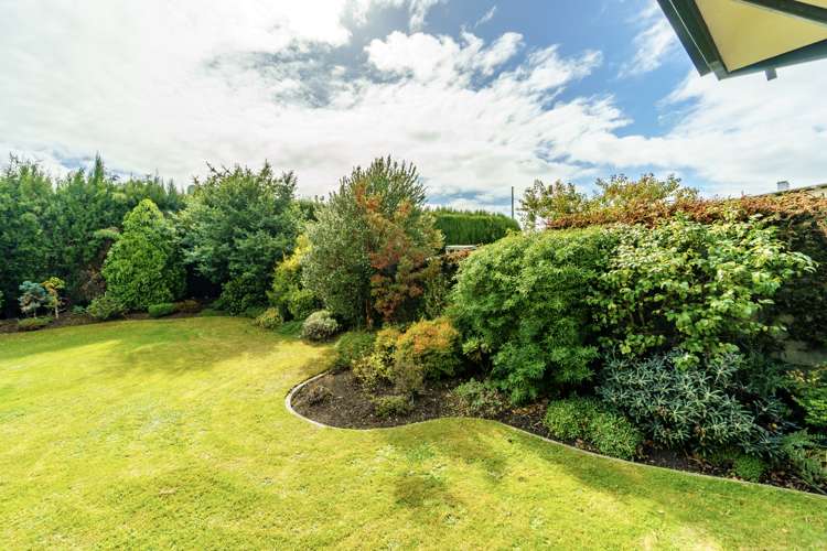 62 Brandon Street Alexandra_19