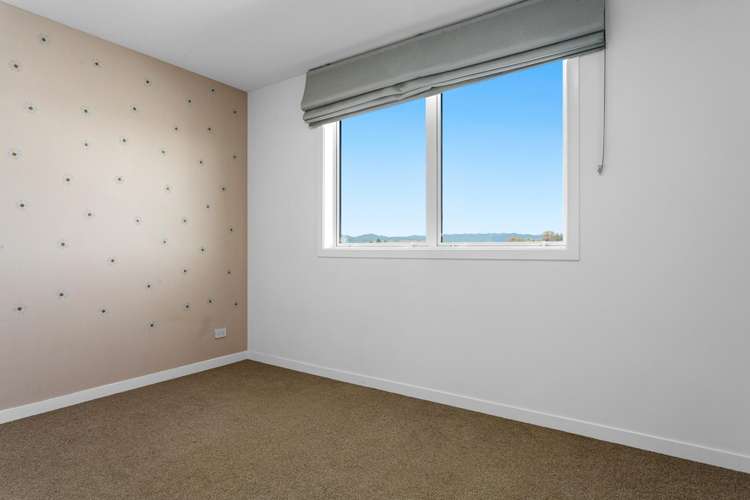 24 Kope Drain Road Awakeri_13