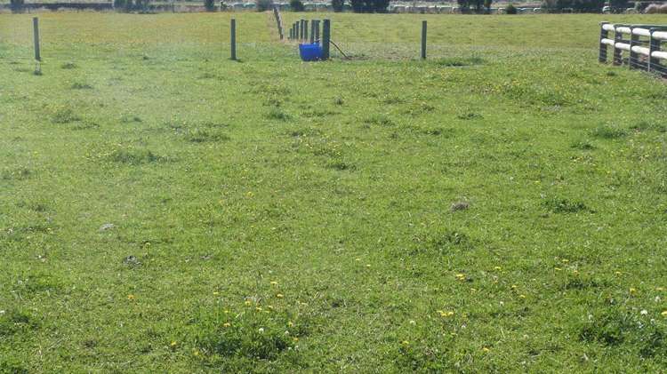 66 Wilcox Road Seaward Bush_11