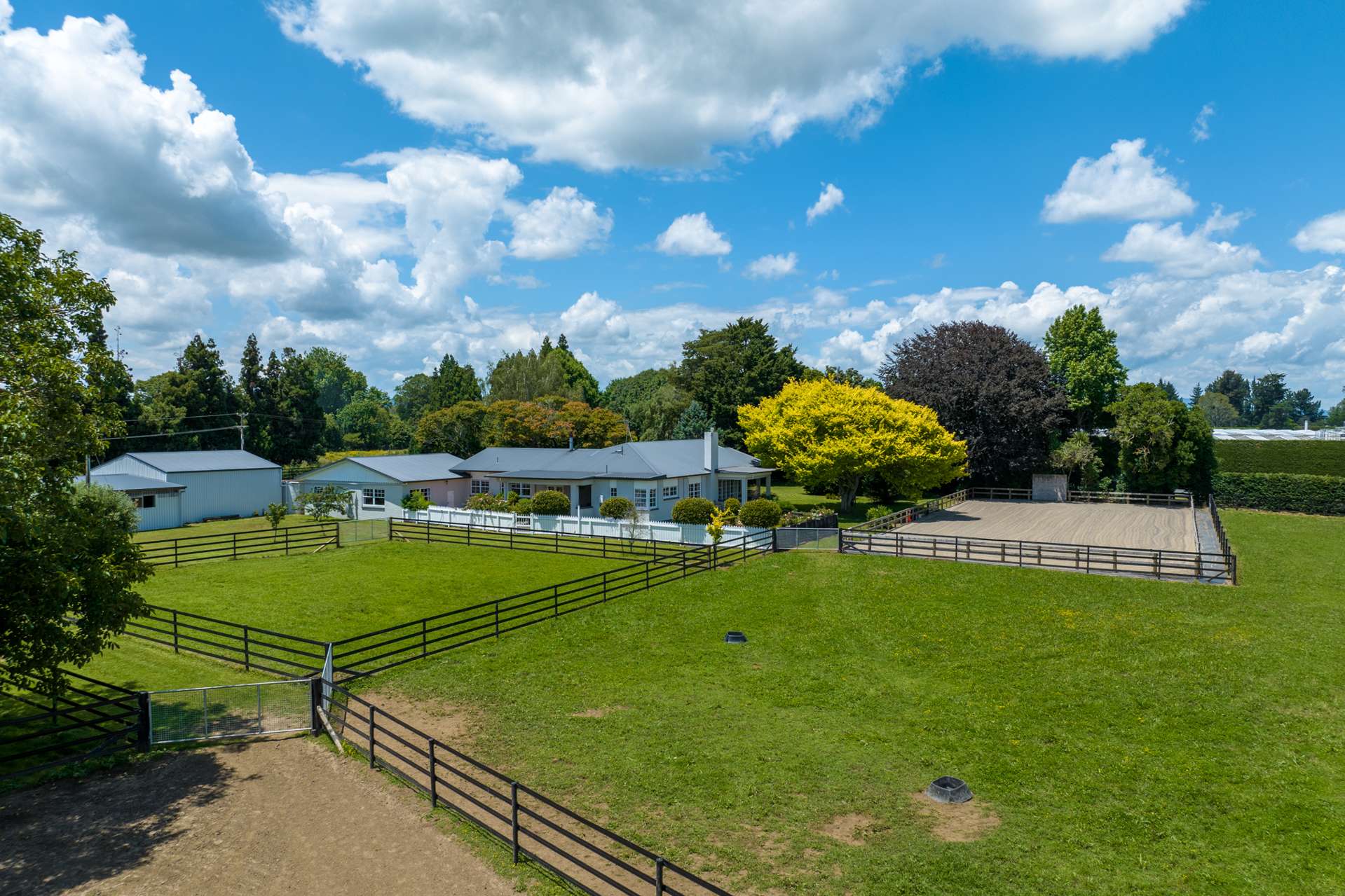 442 Bruntwood Road Tamahere_0