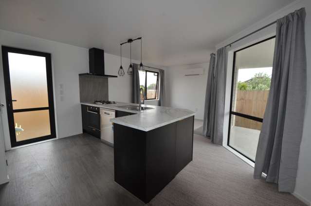 2a Edinburgh Street Onehunga_1