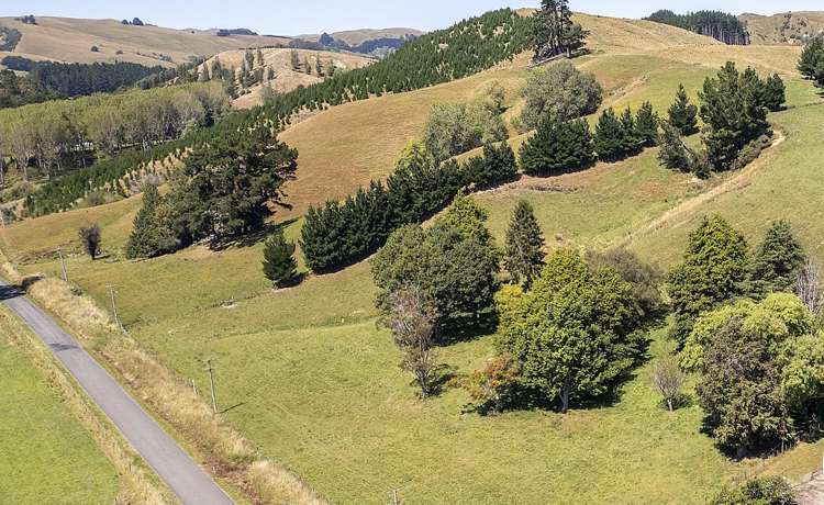 233 South Road Mauriceville_13