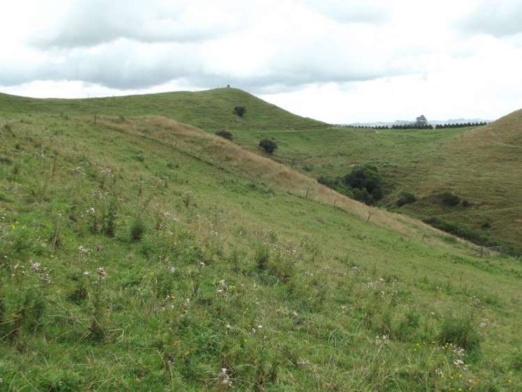 678 Wingrove Road Stratford_8