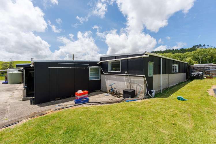 568 Tinopai Road Tinopai_41