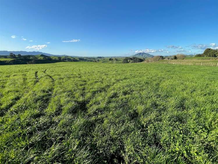 200 Owaikura Road Otorohanga_22