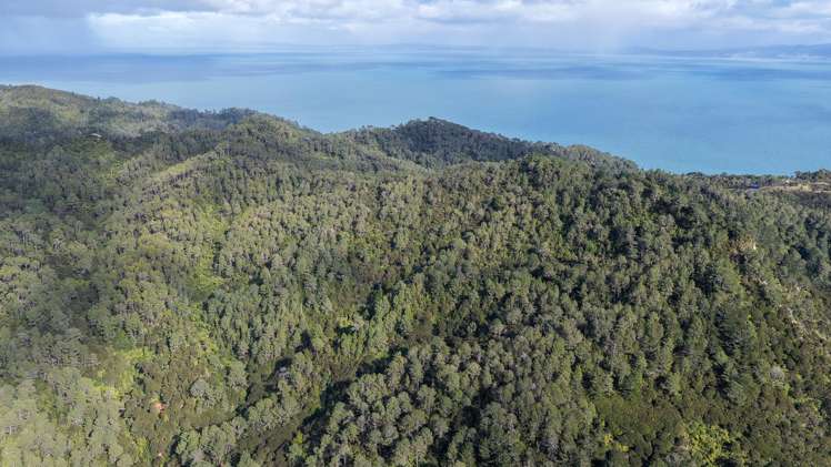 1 Tapu Heights Rise Tapu_2