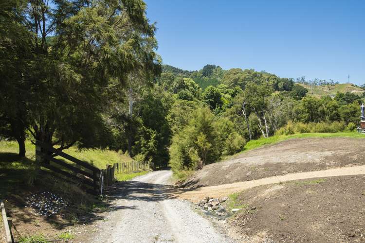 191 Valley Road Mangapapa_8