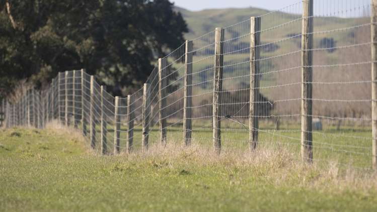 1007 State Highway 2 Masterton_9