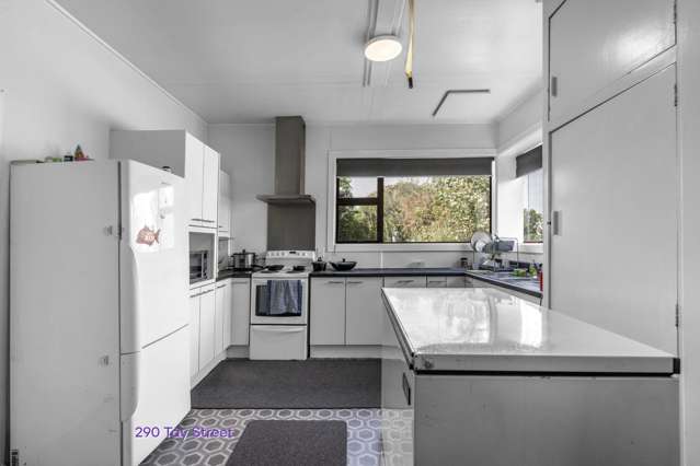 288 and 290 Tay Street Turnbull Thomson Park_1