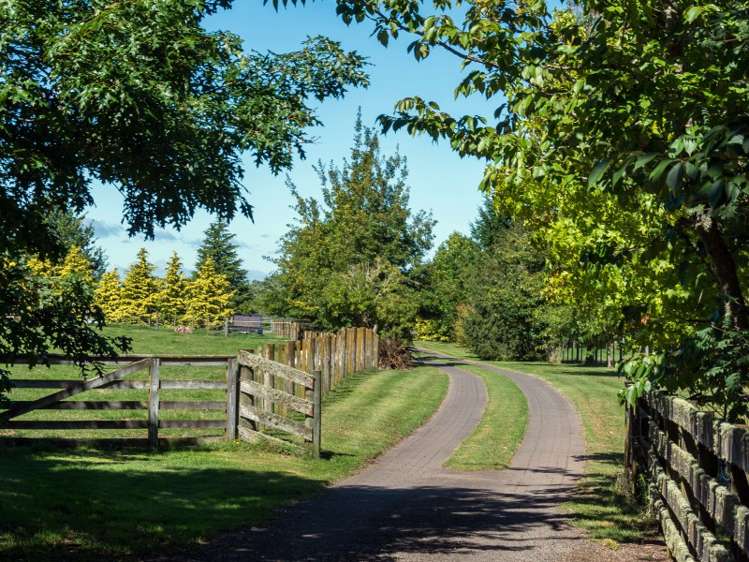 170 Link Road Wairakei and Surrounds_20