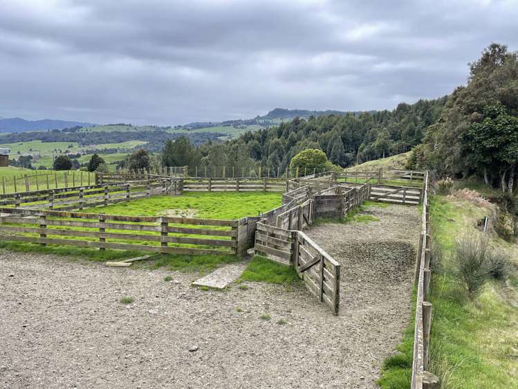 Mangakahu Valley Road Waimiha-Ongarue_24