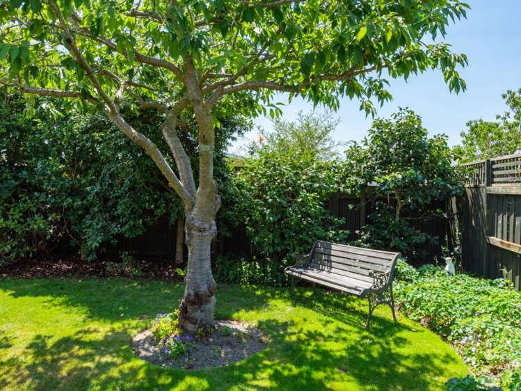 9c Logan Place Blenheim Central_17