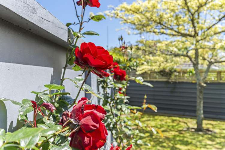 271a Carrington Street Vogeltown_20