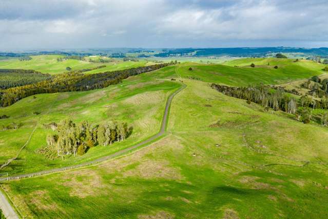 1053 Waihue Road Dargaville Surrounds_1