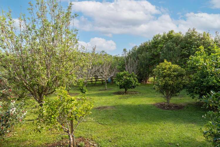 73 Ranganui Road Kaiwaka_19