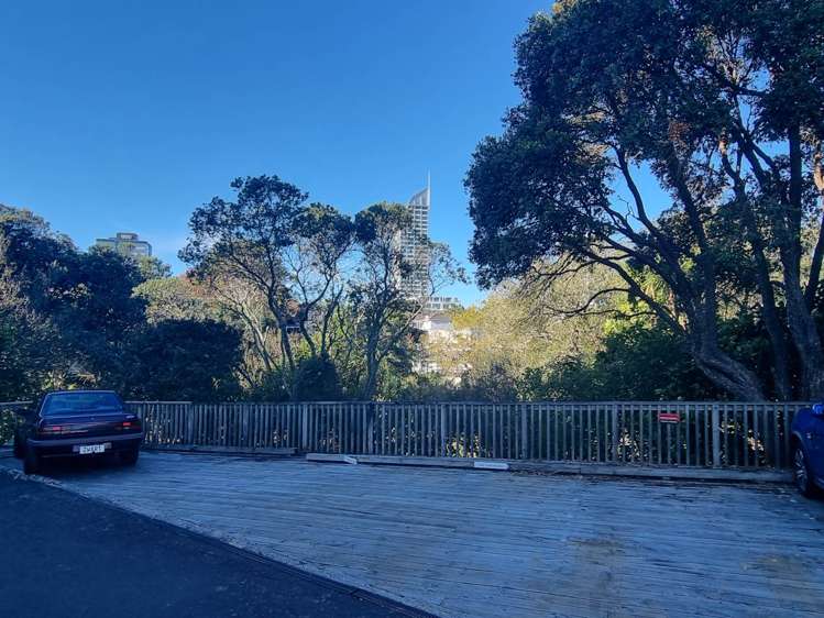 8 Greydene Place Takapuna_9