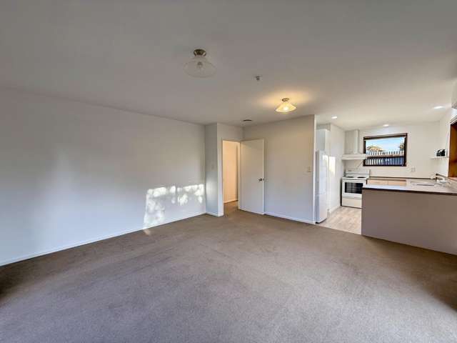14 James Street Allenton_4