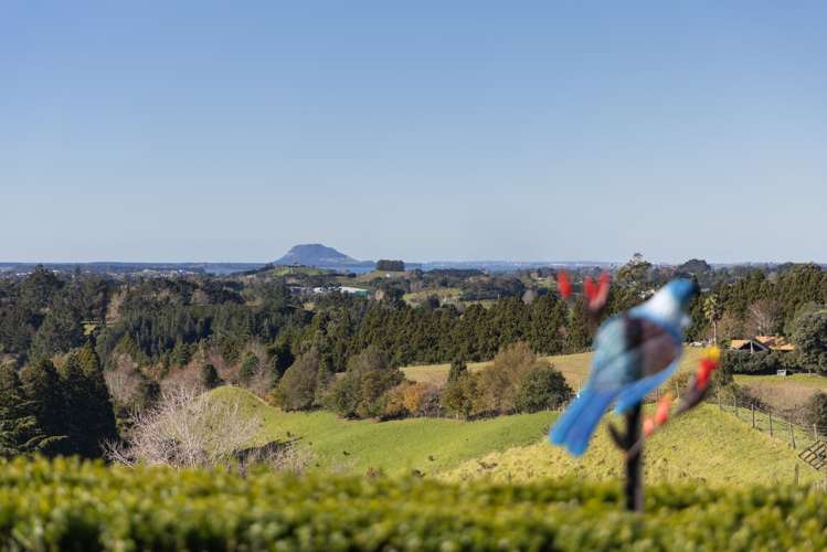 325d Esdaile Road Whakamarama_22