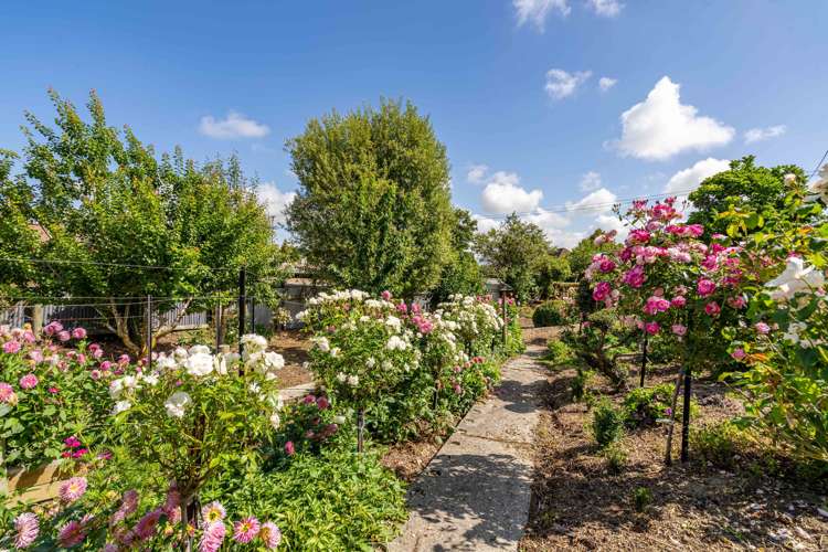 23 Sussex Street Tapanui_17