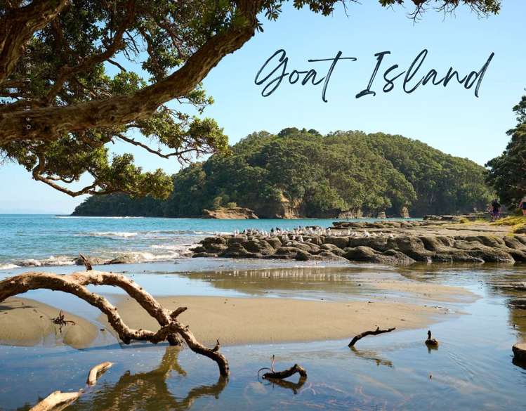 83 Kaitiaki Avenue_5