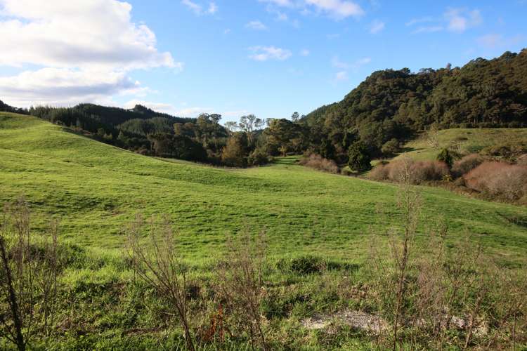 Maniatutu Road Pongakawa_8